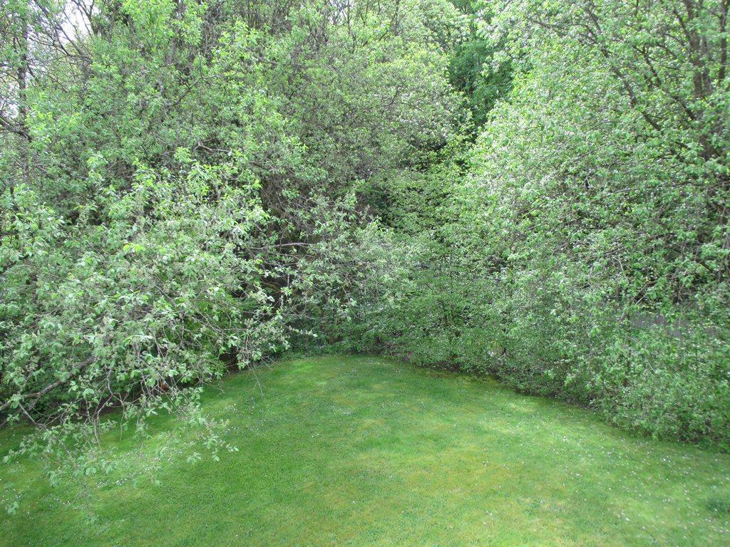 Ferienwohnung An Der Lay Bach  المظهر الخارجي الصورة